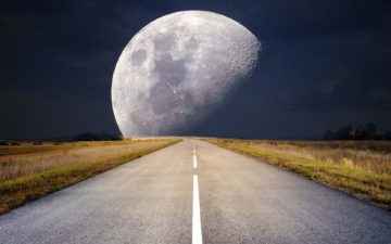 Altcoins to the moon